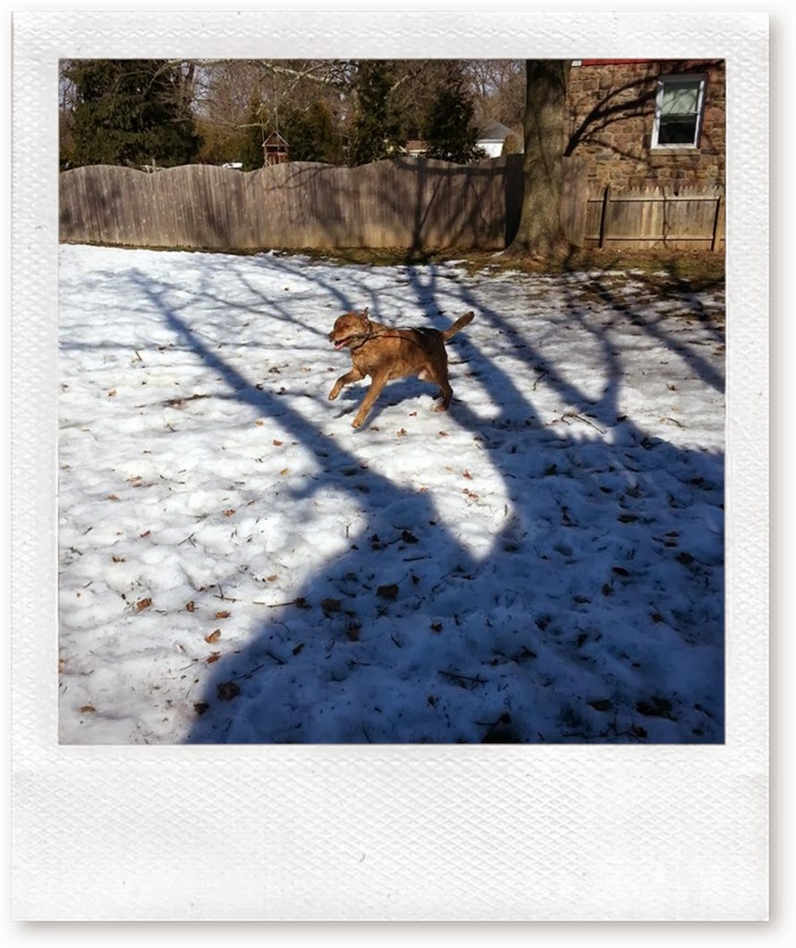 Shmitty mar 10 2014 running