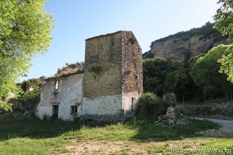 Tajo del Abanico - Encinas Borrachas - rio Audalazar - Alpandeire