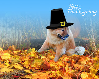 beautiful thanksgiving, emotions, wishes, greetings, cards, images, pictures,wallpapers