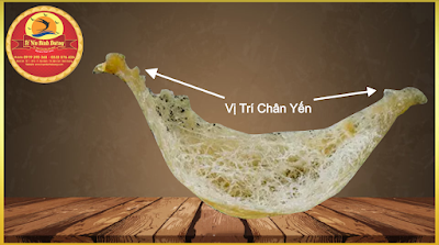 Vị Trí Chân Tổ Yến