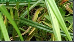 20140725_130840_194_HoMeiSan