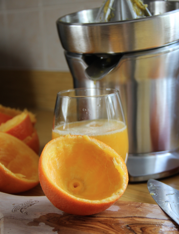 Breville Citrus Press - oranges