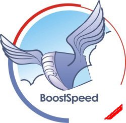 Download Auslogics BoostSpeed 5.0.5