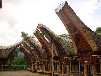 Places of Interest in Tana Toraja - Sulawesi
