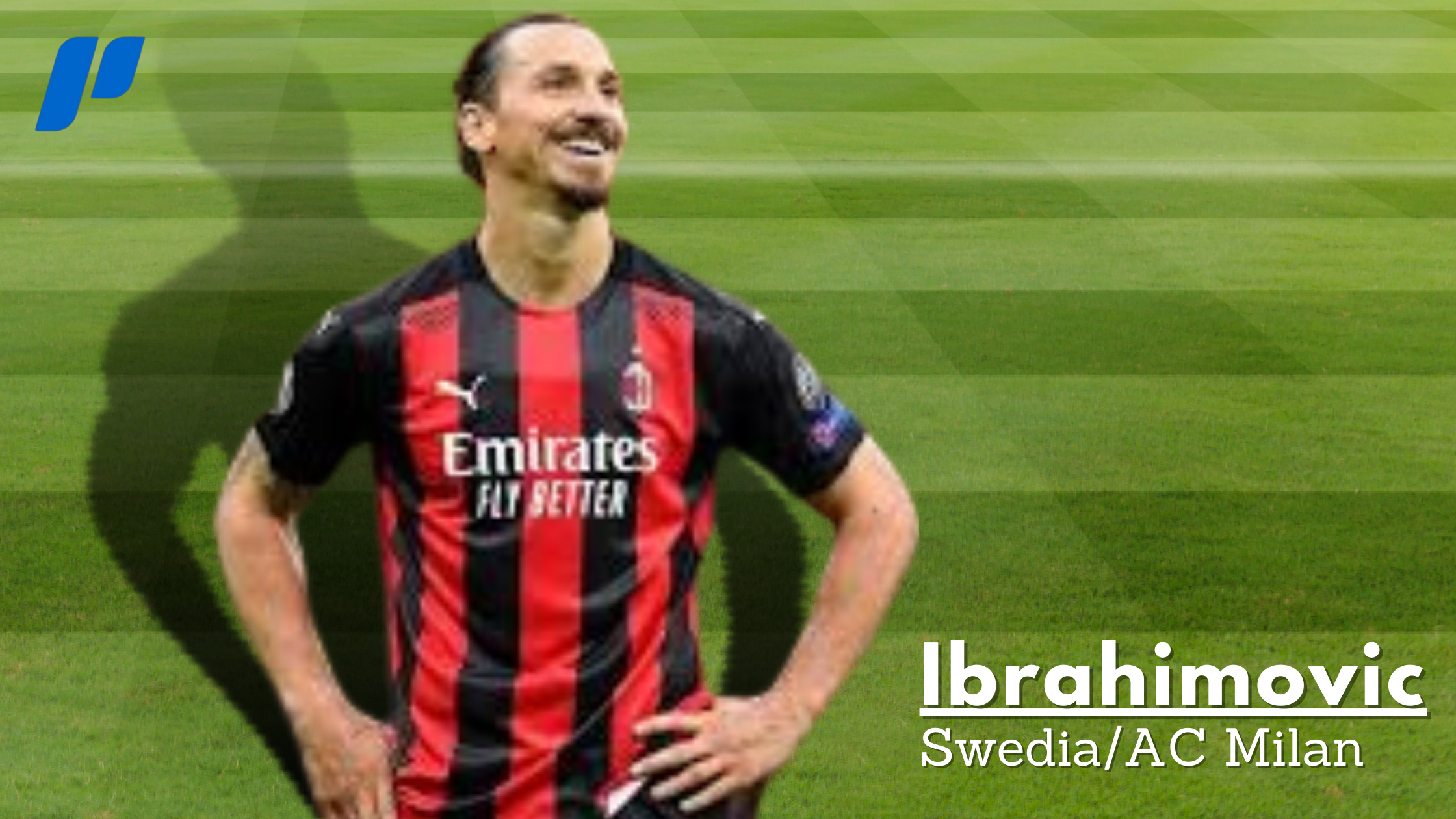 Profil Ibrahimovic