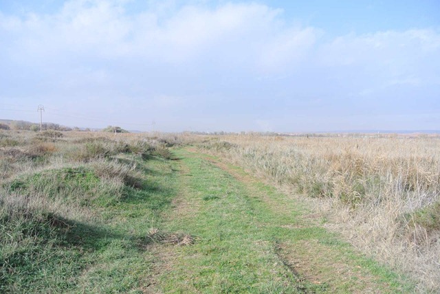 DSC_4958