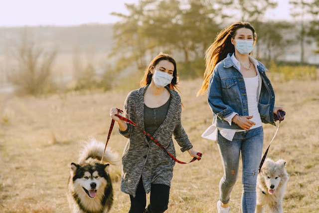 Can My Pet Catch The Coronavirus (Covid-19)
