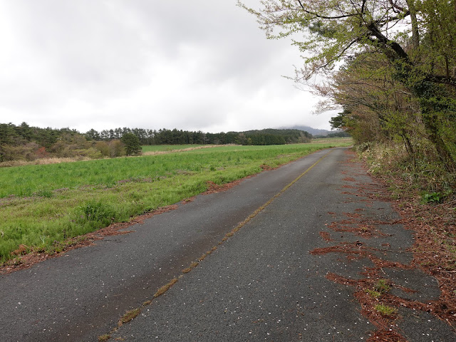 鳥取県西伯郡伯耆町丸山　牧草地