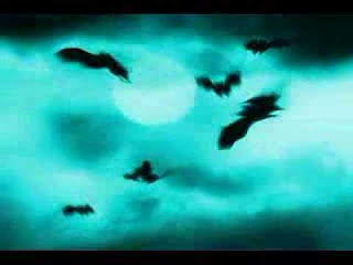 halloween evil night of bats