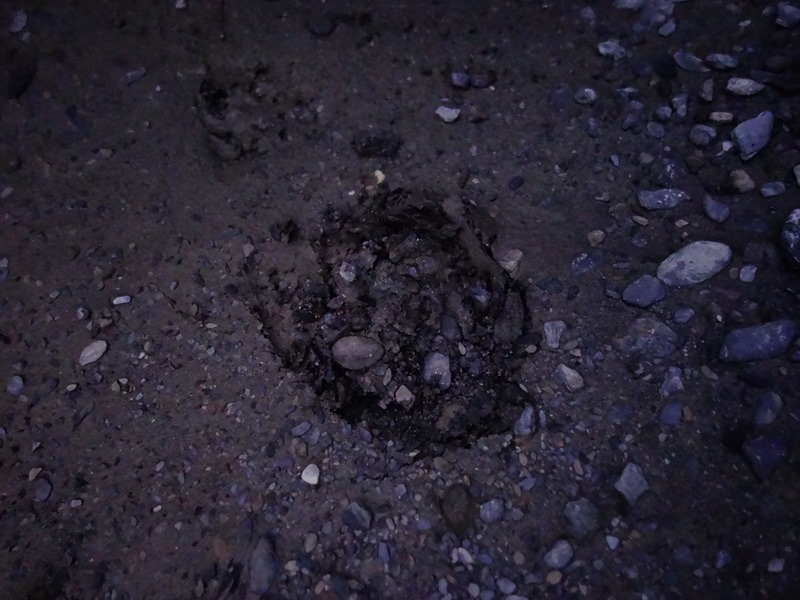 2014_0101-0105 萬山神石、萬山岩雕順訪萬頭蘭山_0460