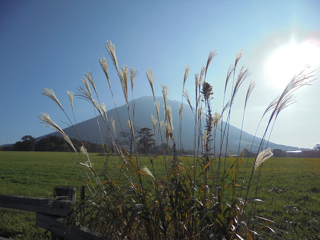 大山牧場の牧草地の風景