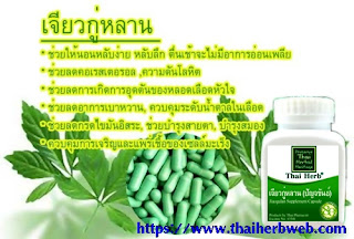  เจียวกู่หลาน Thai Herb ช่วยนอนหลับ ลดคลอเรสเตอรอล ลดความดัน บำรุงร่างกาย