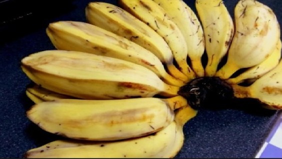 Cardava Banana The Highest Nutrients Among Other Banana Fruits