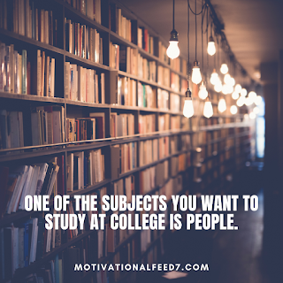 One of the subjects you want to study at college is people.