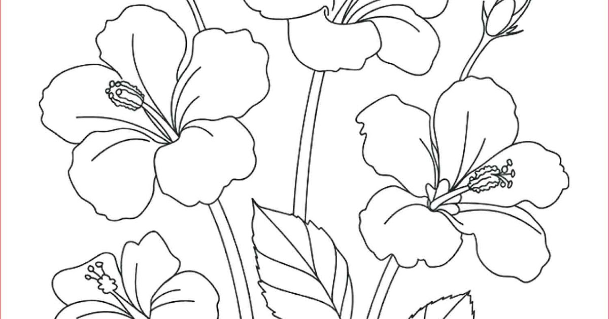 30 Gambar  Sketsa  Bunga Mudah  Bunga Matahari Mawar 