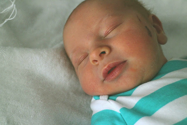 Newborn Baby Boy Archer Photo