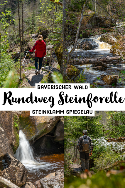 Rundweg Steinforelle | Wanderung Spiegelau – Steinklamm – Stausee-Großarmschlag | Bayerischer Wald 04