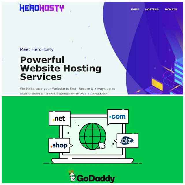 Herohosty Vs GoDaddy Which Is Batter, Best Domain Name, Herohosty