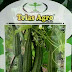 Benih Oyong Unggul ARFA F1 Produk Trias Agro Seed