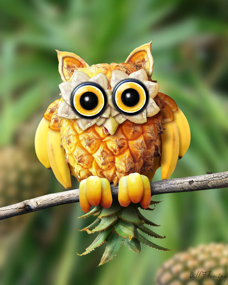 Fruit Hoot by Bill Fleming