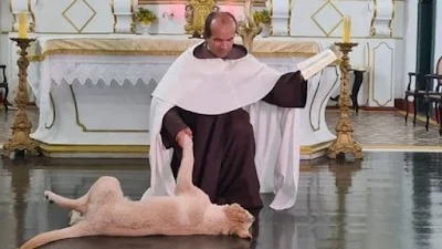 imagem do Frei Petrônio e seu cachorro