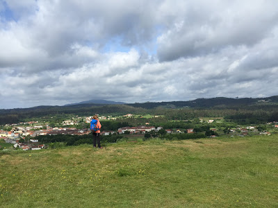 Celtiberia: Hill-fort of Castrolandin   By E.V.Pita (2017)  http://archeopolis.blogspot.com/2017/05/celtiberia-hill-fort-of-castrolandin.html   Castro de Castrolandin (Cuntis)  Por E.V.Pita (2017)