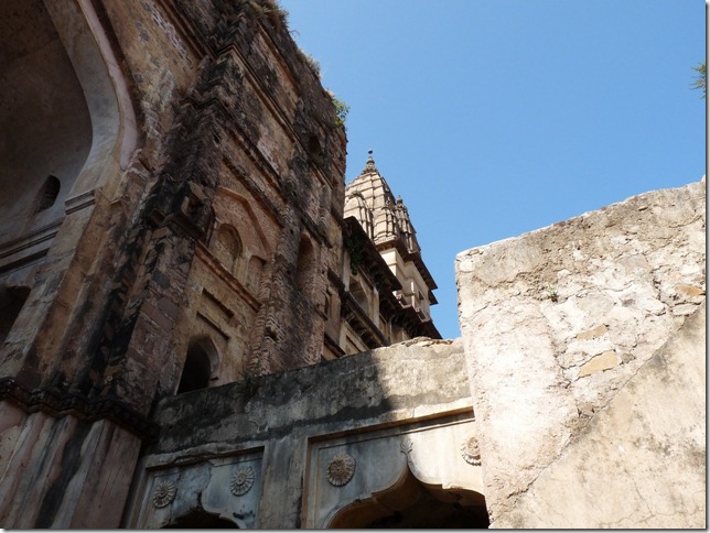 2008.12_india_1465