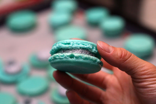 The finished and complete blueberry macaron