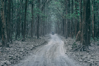 which national parks in india where are other national parks in india where are national parks located in india where are such national parks in india where are other such national parks in india which national parks in india