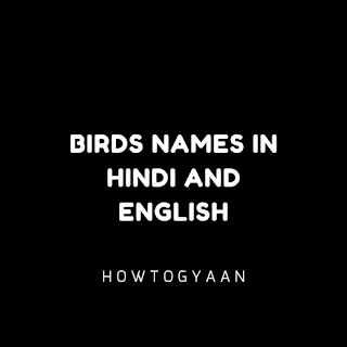 Birds names in Hindi and English
