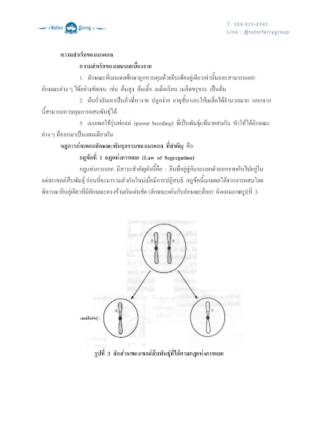 วิชาชีววิทยา เรื่องพันธุศาสตร์ ตอนที่ 1