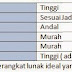 Pengertian Dan Sejarah Rekayasa Perangkat Lunak