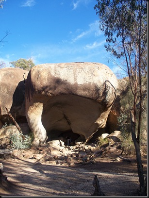 Hippo Rock Hippo Rock
