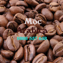 Cà phê Arabica mộc