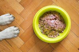 A Definitive Manual for Picking the Best Wet Canine Food in 2023