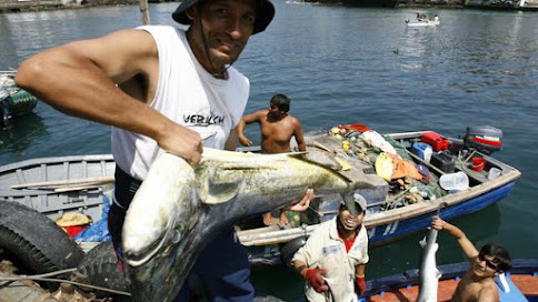 Perú: Socios de las cooperativas pesqueras podrán adecuar sus permisos a lo dispuesto por la Ley General de Pesca