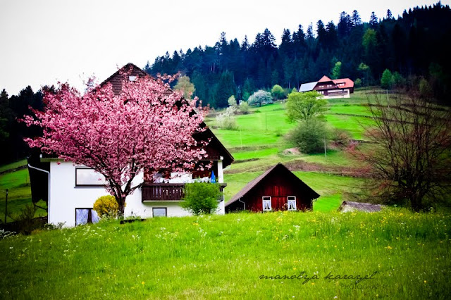 bahar fotoğrafı