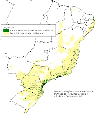 Bioma Mata Atlântica