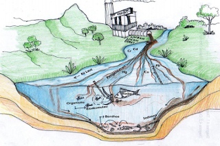 Ciri-ciri Air Tercemar dan Penyebabnya