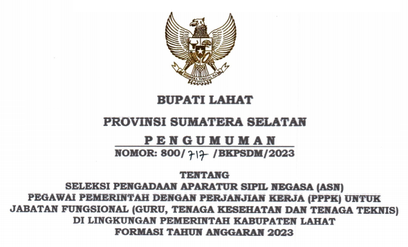 Rincian Formasi Kebutuhan ASN PPPK Kabupaten Lahat Provinsi Sumatera Selatan (SUMSEL) Tahun Anggaran 2023 pdf