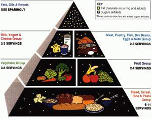 Piramida Makanan Diet Mediterania, strategi diet mediterania