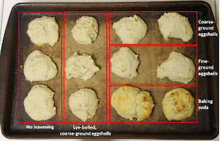 Eggshell leavening biscuit comparison