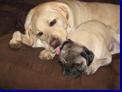 moeandmarley2