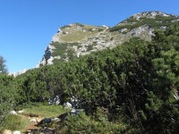 Prvi pogled na Malo Tičarico