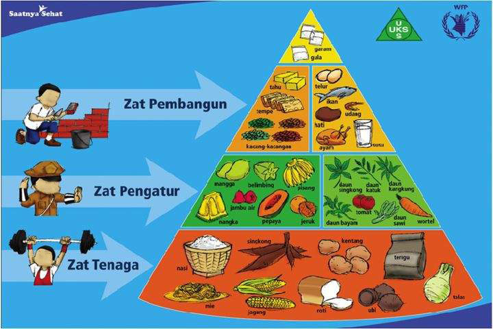 Hati hati dengan Piramida Makanan 2 Stoic