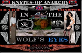IN THE WOLF'S EYES