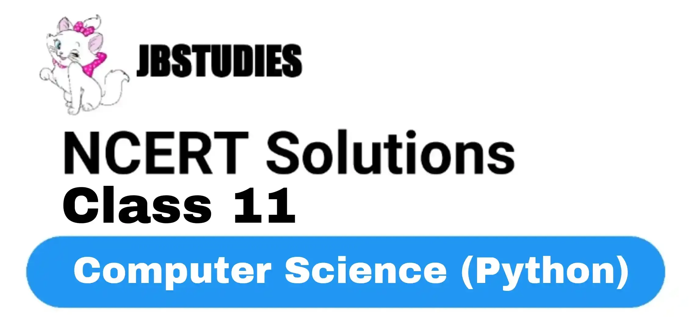 NCERT Solutions Class 11 Computer Science (Python)