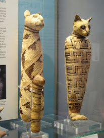 Mummified cats in case at British Museum
