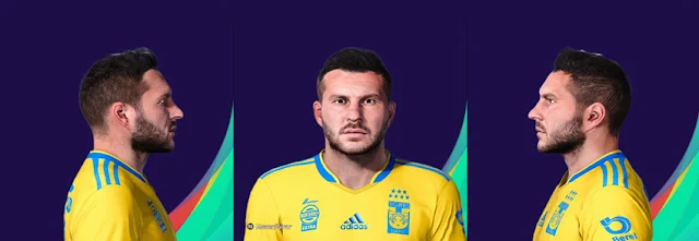 André-Pierre Gignac Face For PES 2013