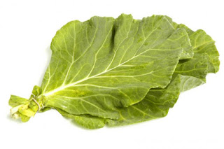 Collard Greens Plant Benefits For Good Health